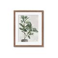 Picture of Leaf Garden _GroupedProduct_Rectangle_Portrait_Framed_Matted_