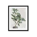 Picture of Leaf Garden _GroupedProduct_Rectangle_Portrait_Framed_Matted_