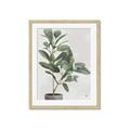 Picture of Leaf Garden _GroupedProduct_Rectangle_Portrait_Framed_Matted_