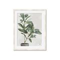 Picture of Leaf Garden _GroupedProduct_Rectangle_Portrait_Framed_Matted_