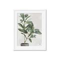 Picture of Leaf Garden _GroupedProduct_Rectangle_Portrait_Framed_Matted_