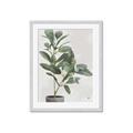 Picture of Leaf Garden _GroupedProduct_Rectangle_Portrait_Framed_Matted_