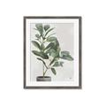 Picture of Leaf Garden _GroupedProduct_Rectangle_Portrait_Framed_Matted_