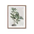 Picture of Leaf Garden _GroupedProduct_Rectangle_Portrait_Framed_Matted_
