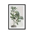 Picture of Leaf Garden _GroupedProduct_Rectangle_Portrait_Framed_Matted_