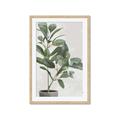 Picture of Leaf Garden _GroupedProduct_Rectangle_Portrait_Framed_Matted_