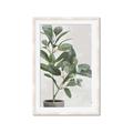 Picture of Leaf Garden _GroupedProduct_Rectangle_Portrait_Framed_Matted_