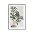 Picture of Leaf Garden _GroupedProduct_Rectangle_Portrait_Framed_Matted_