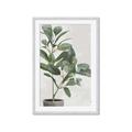 Picture of Leaf Garden _GroupedProduct_Rectangle_Portrait_Framed_Matted_