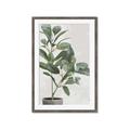 Picture of Leaf Garden _GroupedProduct_Rectangle_Portrait_Framed_Matted_