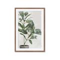 Picture of Leaf Garden _GroupedProduct_Rectangle_Portrait_Framed_Matted_