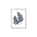 Picture of Two Blue Ferns _GroupedProduct_Rectangle_Portrait_Framed_Matted_
