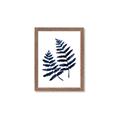 Picture of Two Blue Ferns _GroupedProduct_Rectangle_Portrait_Framed_Matted_