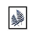 Picture of Two Blue Ferns _GroupedProduct_Rectangle_Portrait_Framed_Matted_