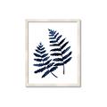 Picture of Two Blue Ferns _GroupedProduct_Rectangle_Portrait_Framed_Matted_
