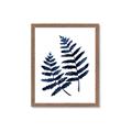 Picture of Two Blue Ferns _GroupedProduct_Rectangle_Portrait_Framed_Matted_