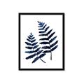 Picture of Two Blue Ferns _GroupedProduct_Rectangle_Portrait_Framed_Matted_