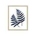 Picture of Two Blue Ferns _GroupedProduct_Rectangle_Portrait_Framed_Matted_
