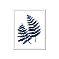 Picture of Two Blue Ferns _GroupedProduct_Rectangle_Portrait_Framed_Matted_