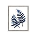 Picture of Two Blue Ferns _GroupedProduct_Rectangle_Portrait_Framed_Matted_