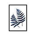 Picture of Two Blue Ferns _GroupedProduct_Rectangle_Portrait_Framed_Matted_
