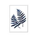 Picture of Two Blue Ferns _GroupedProduct_Rectangle_Portrait_Framed_Matted_