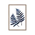 Picture of Two Blue Ferns _GroupedProduct_Rectangle_Portrait_Framed_Matted_
