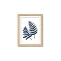 Picture of Two Blue Ferns _GroupedProduct_Rectangle_Portrait_Framed_Matted_
