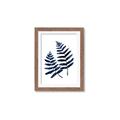 Picture of Two Blue Ferns _GroupedProduct_Rectangle_Portrait_Framed_Matted_