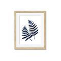 Picture of Two Blue Ferns _GroupedProduct_Rectangle_Portrait_Framed_Matted_