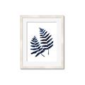 Picture of Two Blue Ferns _GroupedProduct_Rectangle_Portrait_Framed_Matted_