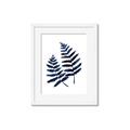Picture of Two Blue Ferns _GroupedProduct_Rectangle_Portrait_Framed_Matted_