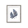 Picture of Two Blue Ferns _GroupedProduct_Rectangle_Portrait_Framed_Matted_