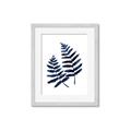 Picture of Two Blue Ferns _GroupedProduct_Rectangle_Portrait_Framed_Matted_