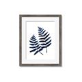 Picture of Two Blue Ferns _GroupedProduct_Rectangle_Portrait_Framed_Matted_