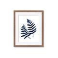 Picture of Two Blue Ferns _GroupedProduct_Rectangle_Portrait_Framed_Matted_