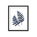 Picture of Two Blue Ferns _GroupedProduct_Rectangle_Portrait_Framed_Matted_