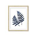 Picture of Two Blue Ferns _GroupedProduct_Rectangle_Portrait_Framed_Matted_