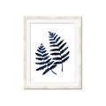 Picture of Two Blue Ferns _GroupedProduct_Rectangle_Portrait_Framed_Matted_
