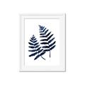 Picture of Two Blue Ferns _GroupedProduct_Rectangle_Portrait_Framed_Matted_