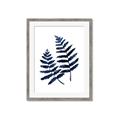 Picture of Two Blue Ferns _GroupedProduct_Rectangle_Portrait_Framed_Matted_