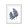 Picture of Two Blue Ferns _GroupedProduct_Rectangle_Portrait_Framed_Matted_