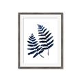 Picture of Two Blue Ferns _GroupedProduct_Rectangle_Portrait_Framed_Matted_