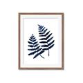Picture of Two Blue Ferns _GroupedProduct_Rectangle_Portrait_Framed_Matted_