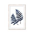 Picture of Two Blue Ferns _GroupedProduct_Rectangle_Portrait_Framed_Matted_