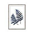 Picture of Two Blue Ferns _GroupedProduct_Rectangle_Portrait_Framed_Matted_