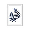 Picture of Two Blue Ferns _GroupedProduct_Rectangle_Portrait_Framed_Matted_