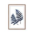 Picture of Two Blue Ferns _GroupedProduct_Rectangle_Portrait_Framed_Matted_