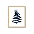 Picture of Blue Fern _GroupedProduct_Rectangle_Portrait_Framed_Matted_