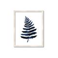Picture of Blue Fern _GroupedProduct_Rectangle_Portrait_Framed_Matted_